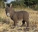 Hi-Line Gift Standing Brown Donkey Looking Left Statue