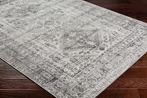 Artistic Weavers Desta Vintage Oriental Runner Area Rug,2'7" X 7'3",Charcoal #TOP3