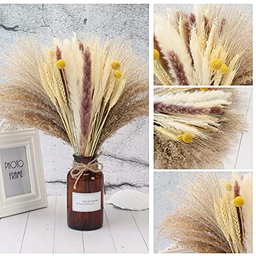 Jgocipon 65Pcs Pampas Grass,Large Fluffy Artificial Grass Decor Tall,Non Shedding Boho Natural Dried Pompass Branches,Pampas Plants Faux Reed Flower Stems Bunch For Wedding, Brown, 17 Inch #TOP1