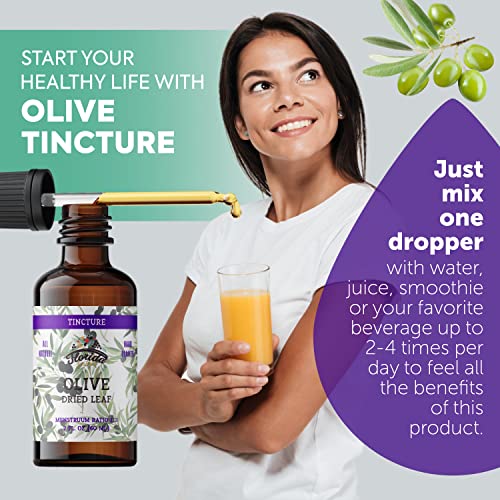 Florida Herbs Organic Olive Leaf Tincture, Olive Extract Liquid (Olea Europaea) Dried Leaf Herbal Supplement, Non-Gmo In Cold-Pressed Organic Vegetable Glycerin, 700 Mg, 2 Oz (60 Ml) #TOP1