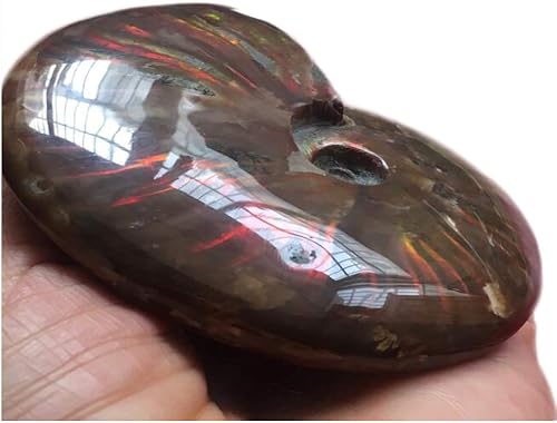 Miniatura 4 de Caracola de amonita arcoíris Cleoniceras Iridesce Amonita Fósiles de amolita fósiles de Madagascar Fidelity Color Natural Piedra preciosa para