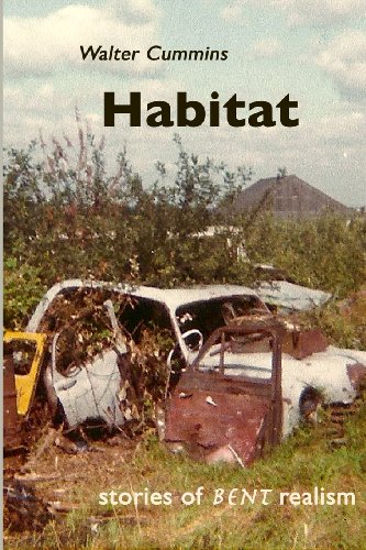 Habitat: Stories of Bent Realism