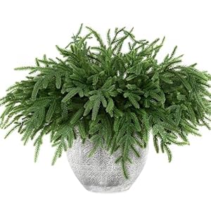 Künstlicher Norfolk-Tannenzweig 45,7 cm, 8 Stück