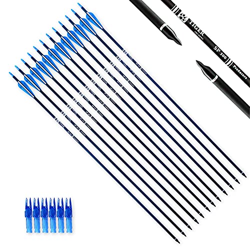 TIGER ARCHERY 30Inch Carbon Arrow Practice Hunting Arrows with Removable Tips for Compound & Recurve Bow(Pack of 12) (Blue White) by TIGER ARCHERY - Used condition - US$29.91