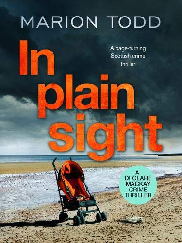 In Plain Sight: Detective Clare Mackay, Book 2