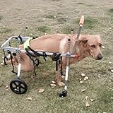 【Facile à ranger et à nettoyer】 Nos outils de promenade pour animaux de compagnie sont faciles à ranger et à transporter. De plus, toutes les pièces du fauteuil roulant pour animaux de compagnie (y compris les roues) sont lavables pour un nettoyage facile