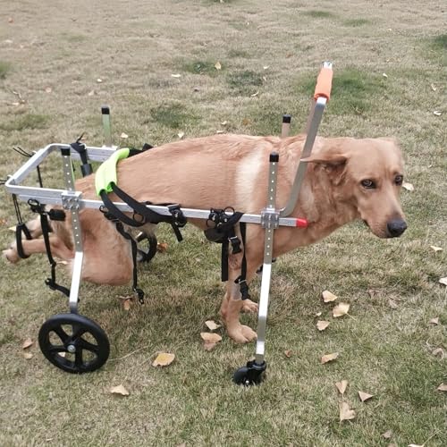 Silla de ruedas para perros medianos de 4 ruedas con arnés y asa de soporte 2