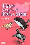 生きものプロポーズ摩訶ふしぎ図鑑 (生きもの摩訶ふしぎ図鑑)