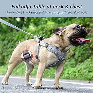 Dog Harness with Leash Set, No Pull Reflective Strips Adjustable Step in Dog Collars Harness with Breathable Padded Vest Harness for Small Large Dogs Training and Running (S, Gray) Dog Harness with Leash Set, No Pull Reflective Strips Adjustable Step in Dog Collars Harness with Breathable Padded Vest Harness for Small Large Dogs Training and Running (S, Gray)