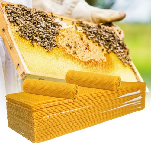 BeeQuestify 30pcs Beeswax Sheets for Beekeeping Candle Making DIY Craft Supplies