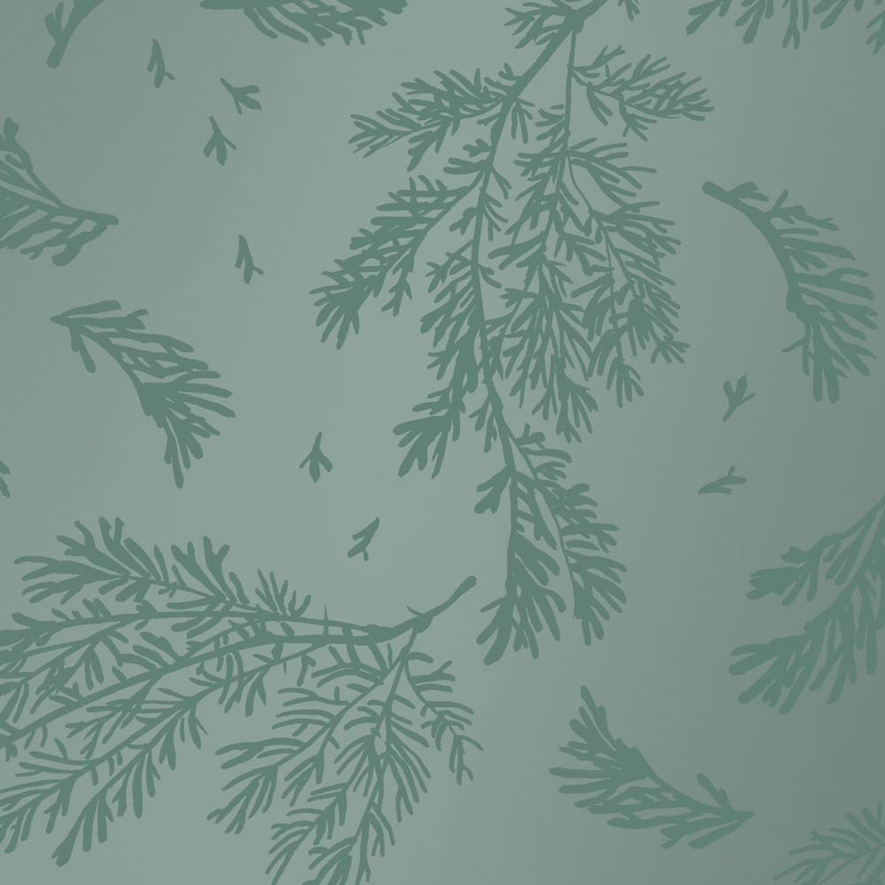 FSC große Rolle Geschenkpapier Thuja 50 cm x 200 m | 80/m² Weihnachtspapier | HUTNER