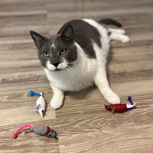 SPOT Burlap Mice Cat Toys, Interactive & Durable Catnip Toys for Indoor Cats & Kittens, Perfect for Hunting & Play, 3-Inch, Assorted Colors, 3 Pieces