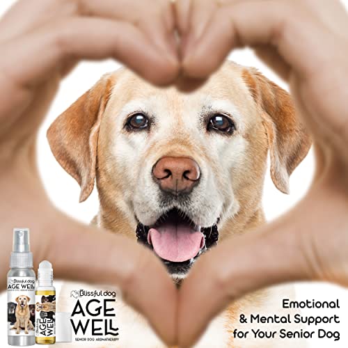 Image of The Blissful Dog Labrador Retriever Age Well Dog Aromatherapy Roll-On Bottle for Your Dog's Peaceful Ageing
