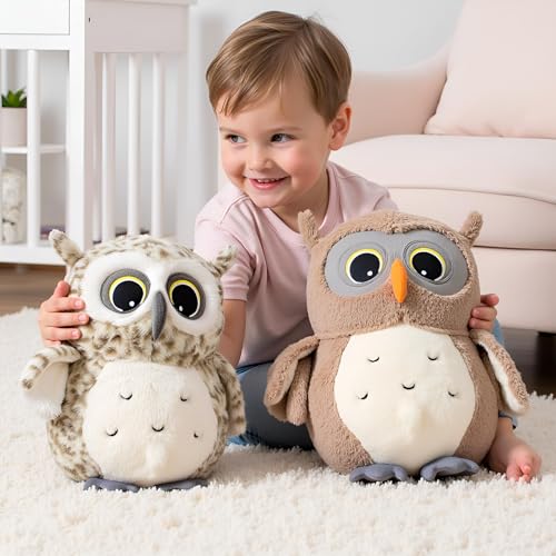 Image of Ryttir 2 Pack 11.7Inch Chubby Small Owl Stuffed Animal, Adventure Stuffed Owl Plush Toy, Brave Boy's and Girl's Room Decor,Funny Owls Gift for Baby Kids Women