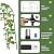 Garden Arch Trellis for Climbing Plants Outdoor - (Black, 81x36x32in) Cucumber Trellis for Raised Bed with Net, Garden Trellis for Climbing Plants, Cucumber, Vegetable, Tomato, Flowers 20mm Thick