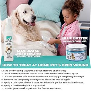 Forticept Blue Butter – Hot Spot Treatment for Dogs & Cats | Dog Wound Care | Skin Yeast Infections, Ringworm, Cuts, Rashes, First Aid Veterinary Strength Topical Ointment 4oz Forticept Blue Butter – Hot Spot Treatment for Dogs & Cats | Dog Wound Care | Skin Yeast Infections, Ringworm, Cuts, Rashes, First Aid Veterinary Strength Topical Ointment 4oz