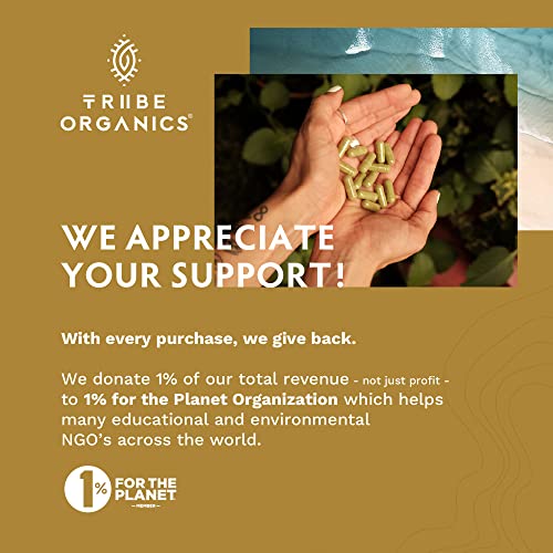 Tribe Organics Nootropic Duo - Ksm66 Ashwagandha + Organic Lion's Mane - Beyond Focus, Mind Awareness And Mind Health #TOP7