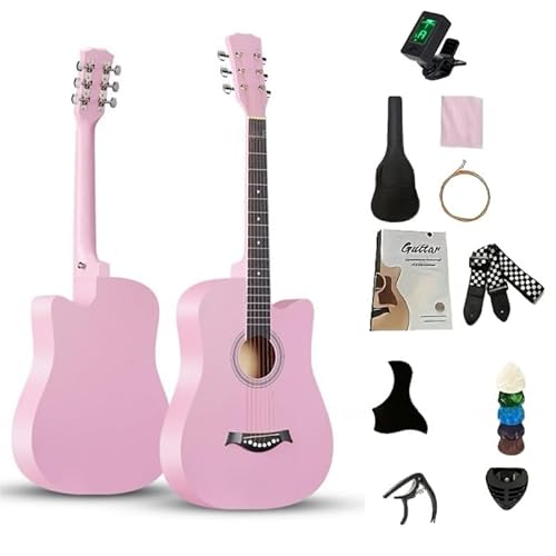 FHFH6 M^[A AR[XeBbNA M^[SҌAwlp 10 Zbg WjA AR[XeBbNAZbg 38inch KAwAqAlAKAZbgASҁAtH[NM^[AA`[i[ (sN)