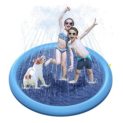 Hundepool und Splash Pad für Tiere