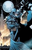 DC Comics Batman - Kissing Catwoman Wall Poster, 34L' x 22.4W', Premium Unframed Version