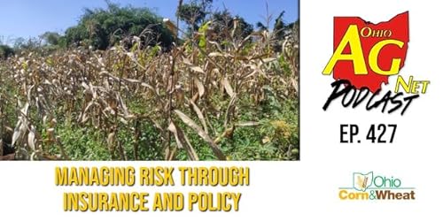 Ohio Ag Net Podcast - Ep 427 - Managing Risk Through Insurance and Policy