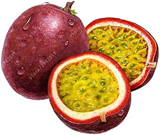 Kalash New 20Pcs Passiflora Fruit Seeds for Gardening Dark Red