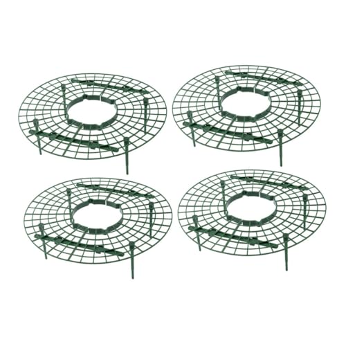 KAILIKETIY 4 䕗pv^[Aও ό󐫉|x x[̐i ƍ؉p؃v^[xbN