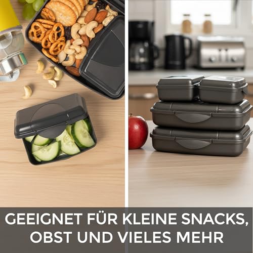 Hausfelder Brotdose Set Erwachsene – 4er Lunchbox Set anthrazit mit 2 großen (16x12x4 cm) & 2 kleinen (9,5x7x3,5 cm) Dosen, stapelbar, spülmaschinengeeignet, ideal für Schule, Büro & unterwegs