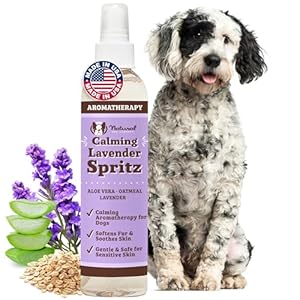 Natural Dog Company Calming Lavender Spritz 8 oz – Hypoallergenic Dog Deodorizing Spray with Aloe & Oatmeal – Refreshes Coat, Soothes Sensitive Skin – Natural Lavender Scent, No Artificial Fragrance