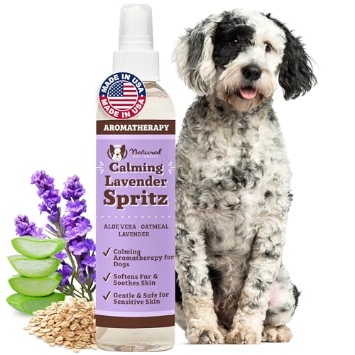 Natural Dog Company Calming Lavender Spritz 8 oz – Hypoallergenic...