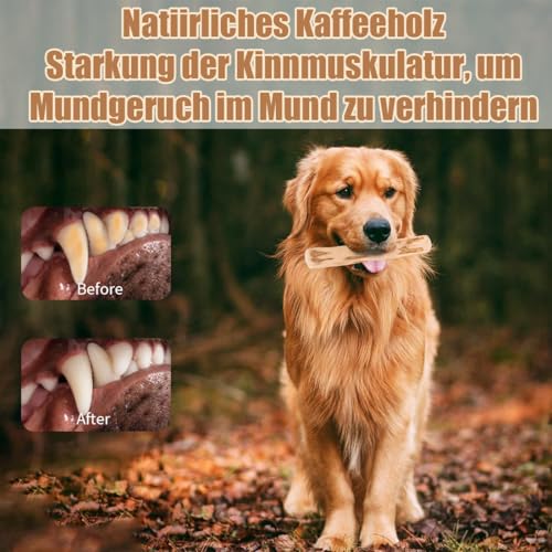 JYNVO 3 szt. Drewniane gryzaki dla psów Kości do żucia z naturalnego drewna kawy do czyszczenia zębów, dla małych i średnich psów do żucia i zabawy (14 cm)