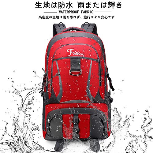 [RaoRanDang] 登山リュック 80L大容量ハイキングバックパッ