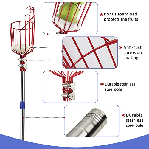 13Ft Fruit Picker Pole With Basket Apple Orange Picker Tool Tree Fruit Catcher With Lightweight Stainless Steel Connecting Pole, Sturdy Basket With Foam Pad, Metal Clamp #TOP1