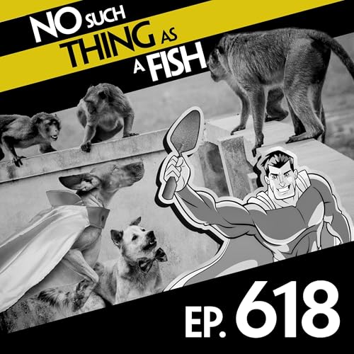 No Such Thing As Captain Crossword