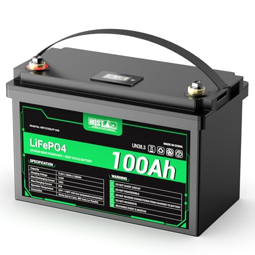 Amazon.co.jp: HQST 12V 100Ah LiFePO4リン酸鉄リチウムイオン