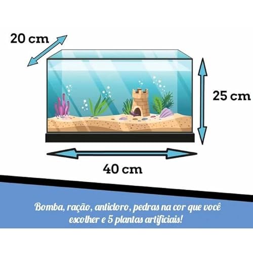 Aquário 20 litros + BOMBA INTERNA COM FILTRO + 5 plantas + 4 pct de pedra + 1 ração + 1 anticloro (A