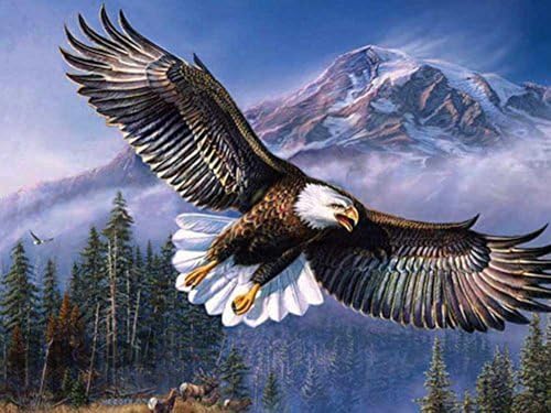 Image of Jasol Diamond Painting Kit, 40x30 Cms, Full Drill, 5D Crystals, Home Wall Decor Gift Set (Eagle J40018)