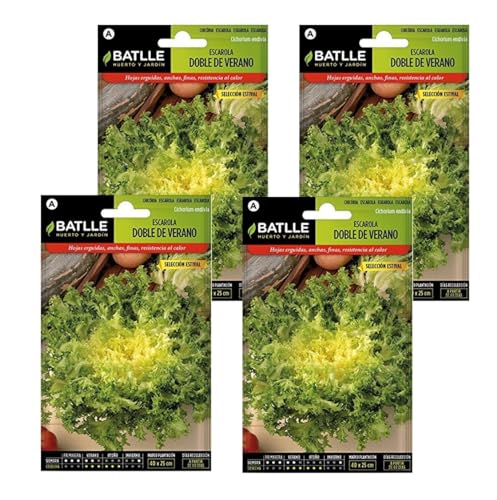 Semillas de escarola de verano de Semillas Batlle PACK (4)