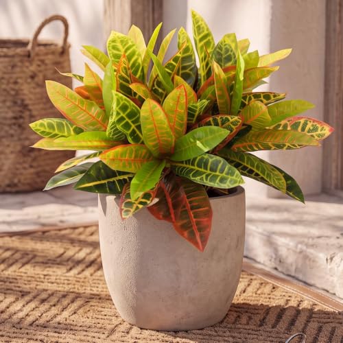 Thiccywoov 6pcs 12 Leaves Croton Artificial Plant Tropical Flowers