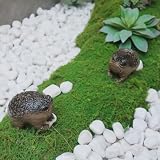 KYVANDO Weird Grumpy Angry Frog Toad Statue – Ugly Cute Resin Sculpture for Garden, Desk or Home Décor, Tiny Novelty Figurine with Gift Box, 1pcs