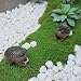 KYVANDO Weird Grumpy Angry Frog Toad Statue – Ugly Cute Resin Sculpture for Garden, Desk or Home Décor, Tiny Novelty Figurine with Gift Box, 1pcs