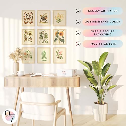 Home Page - Paul - Cosy Home Interiors