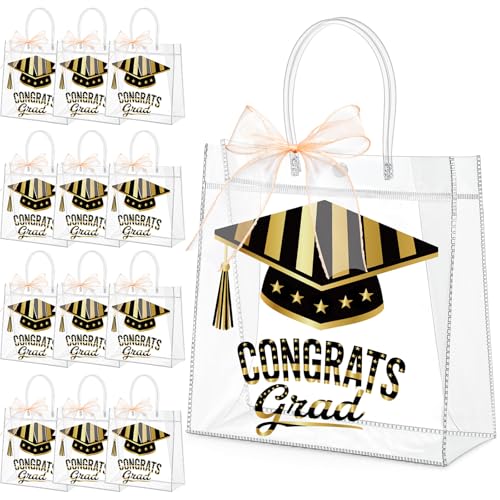 Pochette cadeau remise de diplôme 2026 Aliceset en PVC rigide avec poignées | 24 pcs