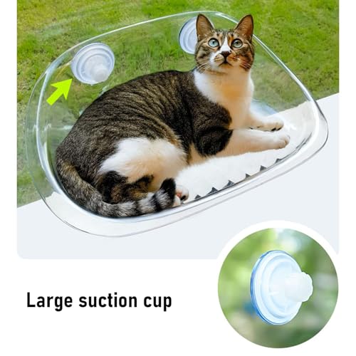 Poleiro de Janela de Gato, Quadro de Escalada de Gato Suspenso Transparente Pendurado Rede de Dormir