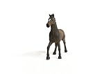 Ver la foto 3