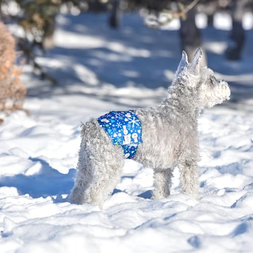 Couches de Noël pour chiens mâles CuteBone DM34M taille moyenne - 10