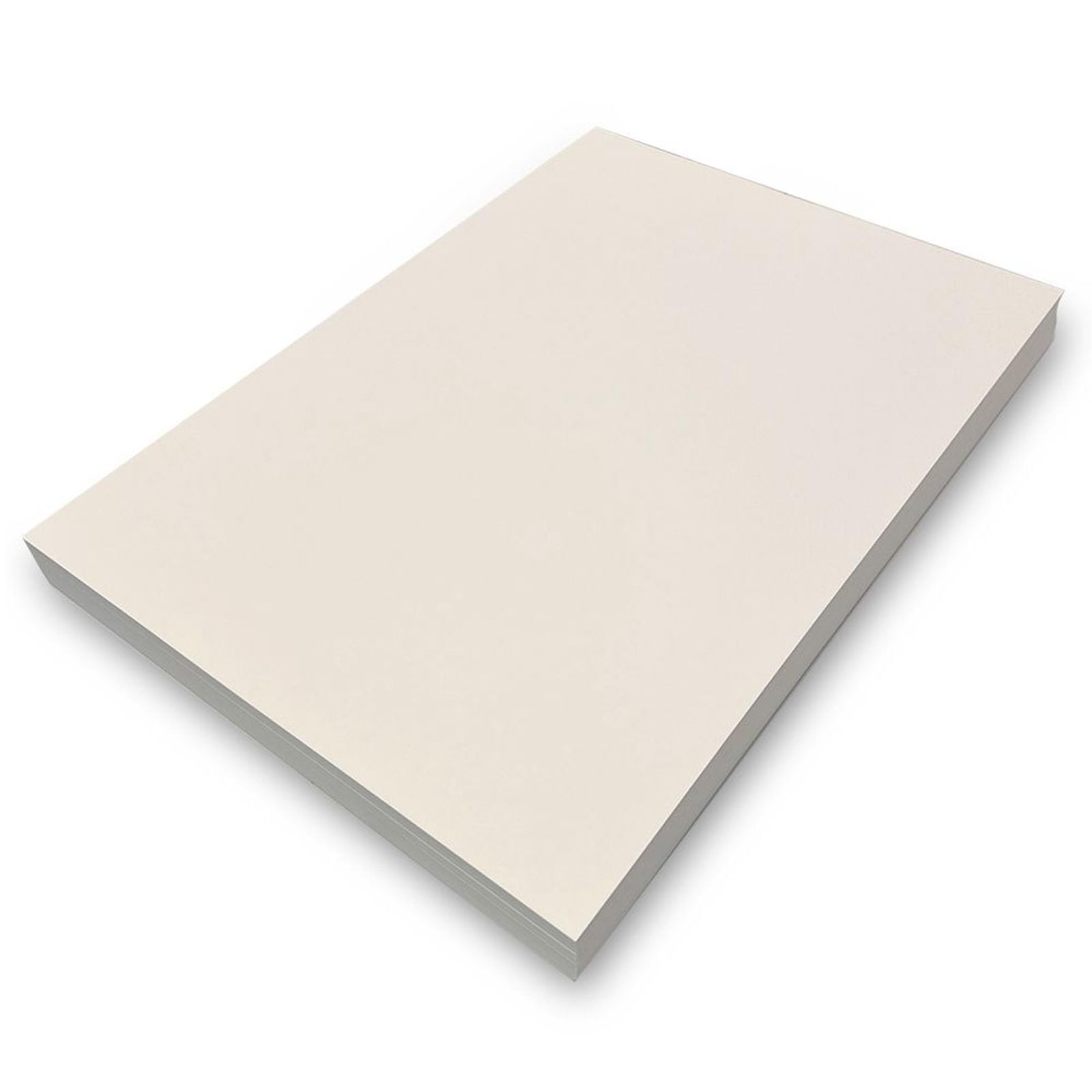 Lineco, Herbarium Mounting Paper, Archival Quality, PH 8.5, Acid-Free, Cotton Rag Unbuffered Material for Institutions and Museums-11.5x16.5 inch,