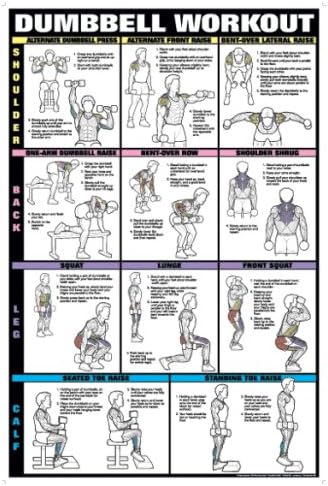 Dumbbell Workout Ii 24" X 36" Laminated Chart (Shoulder, Back, Leg, & Calf)