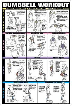 Dumbbell Workout Ii 24" X 36" Laminated Chart Shoulder, Back, Leg, Calf