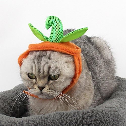 PET SHOW Pet Halloween Pumpkins Adjustable Hat for Cats and Small Dogs Party Costume Accessory Headwear Pack of 1